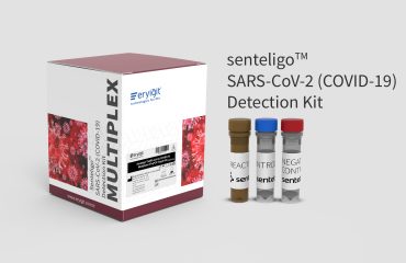 coronavirus-multiplex-test-kiti-detection-kit-1920×1080-en